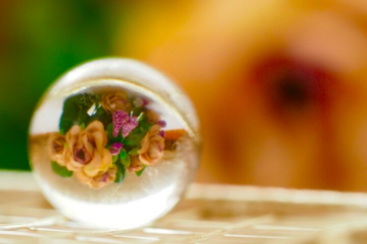 Clear resin casting of a paperweight with dried flowers embedded inside